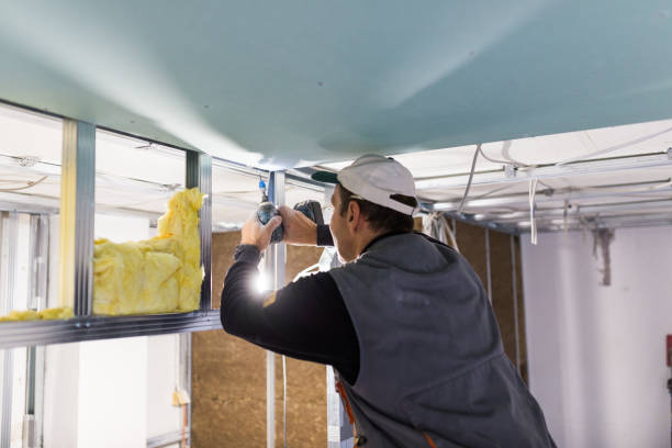 Best Commercial Insulation in Forest City, FL